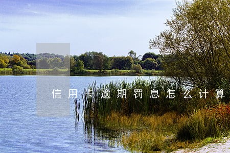 信用卡逾期罚息怎么计算 信用卡逾期罚息怎么计算