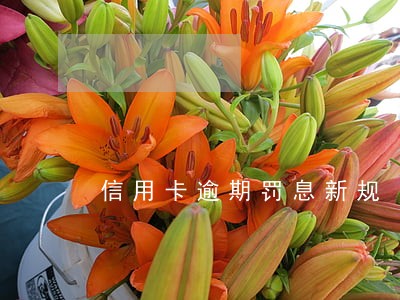 信用卡逾期罚息新规 信用卡逾期罚息新规