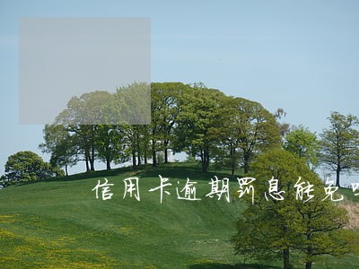 信用卡逾期罚息能免吗 信用卡逾期罚息能免吗
