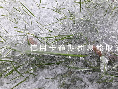 信用卡逾期罚息能取消 信用卡逾期罚息能取消
