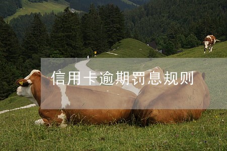 信用卡逾期罚息规则 信用卡逾期罚息规则