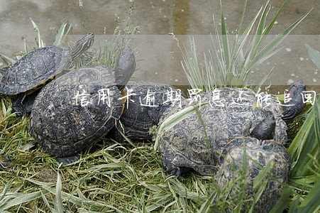 信用卡逾期罚息还能追回吗 信用卡逾期罚息还能追回吗
