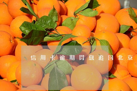 信用卡逾期罚息追回北京公司