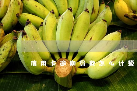 信用卡逾期罚款怎么计算 信用卡逾期罚款怎么计算