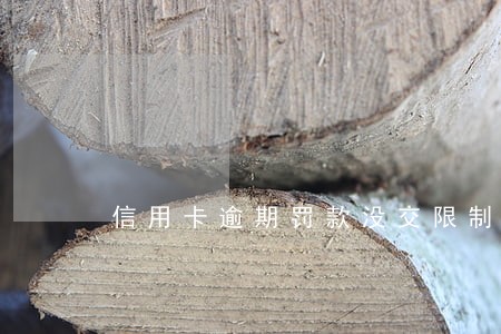 信用卡逾期罚款没交限制 信用卡逾期罚款没交限制
