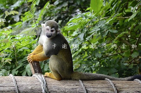 信用卡逾期罚款滞纳金如何要回 信用卡逾期罚款滞纳金如何要回