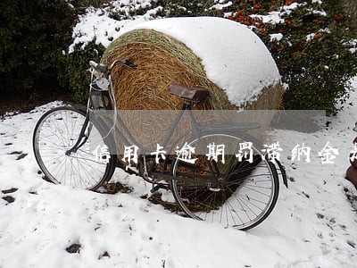 信用卡逾期罚滞纳金是怎样计算的 信用卡逾期罚滞纳金是怎样计算的