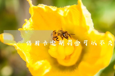 信用卡逾期罚金可以不交吗 信用卡逾期罚金可以不交吗
