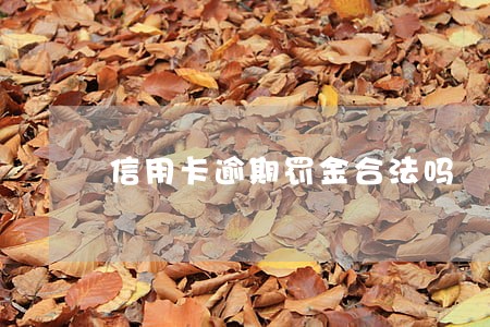 信用卡逾期罚金合法吗 信用卡逾期罚金合法吗