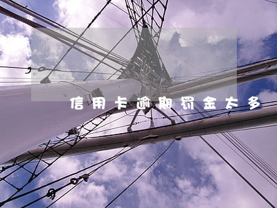 信用卡逾期罚金太多
