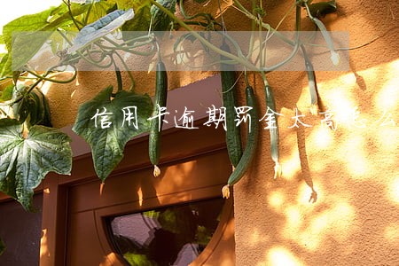 信用卡逾期罚金太高怎么办
