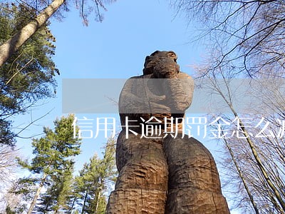 信用卡逾期罚金怎么减免 信用卡逾期罚金怎么减免