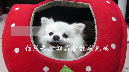 信用卡逾期罚金能减免吗 信用卡逾期罚金能减免吗