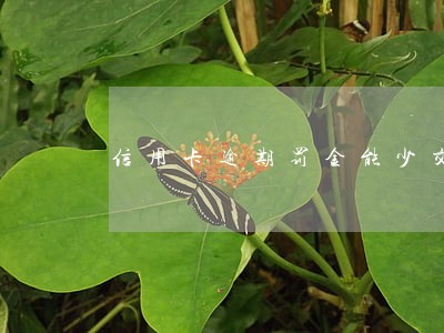 信用卡逾期罚金能少交吗 信用卡逾期罚金能少交吗