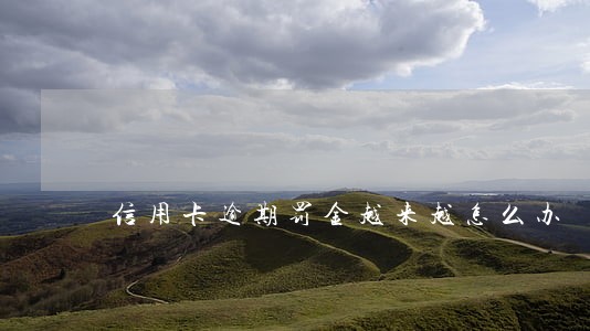 信用卡逾期罚金越来越怎么办 信用卡逾期罚金越来越怎么办
