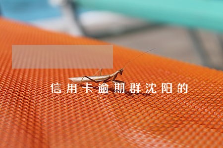 信用卡逾期群沈阳的