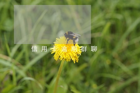 信用卡逾期群聊 信用卡逾期群聊