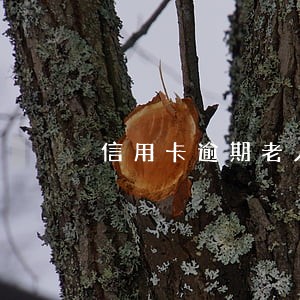 信用卡逾期老人 信用卡逾期老人