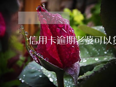 信用卡逾期老婆可以贷款吗