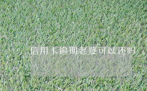 信用卡逾期老婆可以还吗 信用卡逾期老婆可以还吗