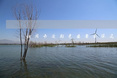 信用卡逾期老婆要必须还吗