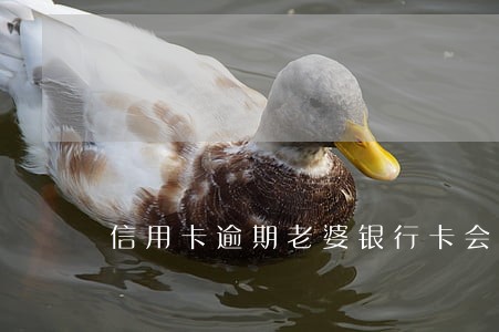 信用卡逾期老婆银行卡会冻结吗 信用卡逾期老婆银行卡会冻结吗