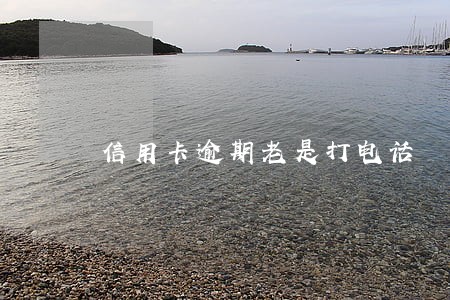 信用卡逾期老是打电话