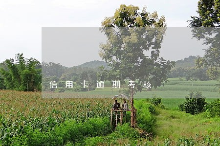 信用卡逾期考核 信用卡逾期考核