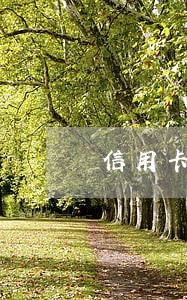 信用卡逾期考试入户广州 信用卡逾期考试入户广州