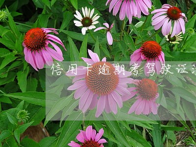信用卡逾期考驾驶证没事吧 信用卡逾期考驾驶证没事吧