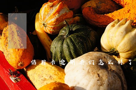 信用卡逾期者们怎么样了