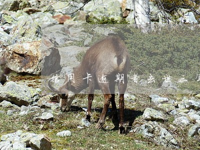 信用卡逾期者去世三年