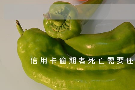 信用卡逾期者死亡需要还吗