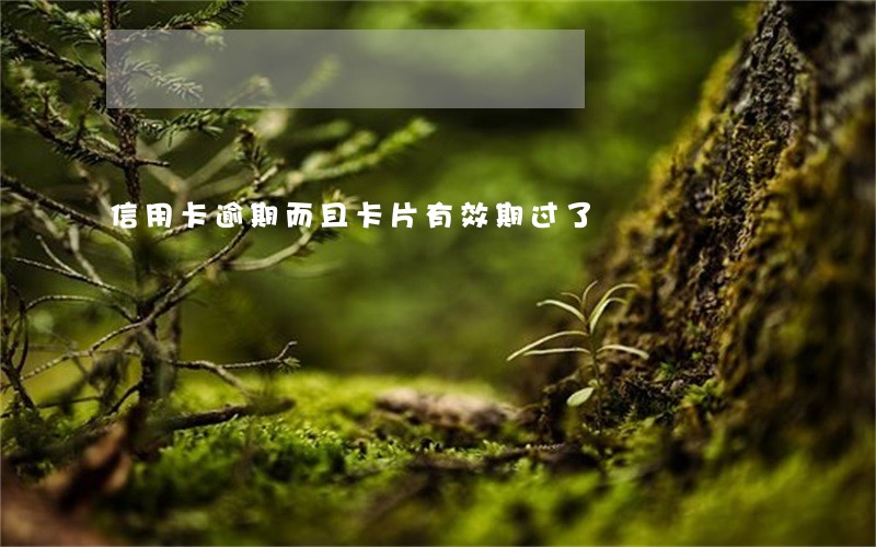 信用卡逾期而且卡片有效期过了 信用卡逾期而且卡片有效期过了