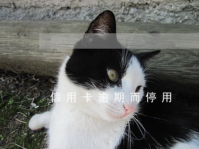 信用卡逾期而停用 信用卡逾期而停用