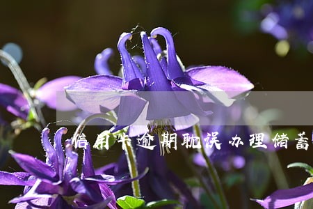 信用卡逾期耽误办理储蓄卡么 信用卡逾期耽误办理储蓄卡么