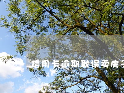 信用卡逾期耽误卖房子吗 信用卡逾期耽误卖房子吗
