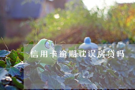 信用卡逾期耽误房贷吗 信用卡逾期耽误房贷吗