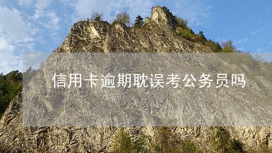 信用卡逾期耽误考公务员吗 信用卡逾期耽误考公务员吗