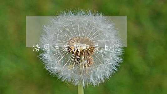 信用卡逾期职员上门