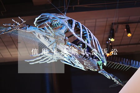 信用卡逾期联合诉讼 信用卡逾期联合诉讼