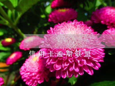 信用卡逾期联盟 信用卡逾期联盟