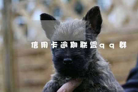 信用卡逾期联盟qq群