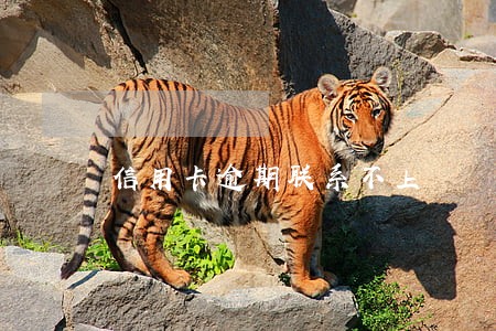 信用卡逾期联系不上 信用卡逾期联系不上
