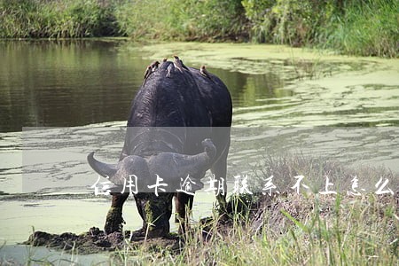 信用卡逾期联系不上怎么处理