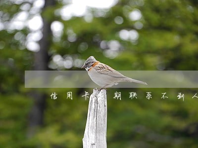 信用卡逾期联系不到人