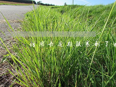 信用卡逾期联系到了家人