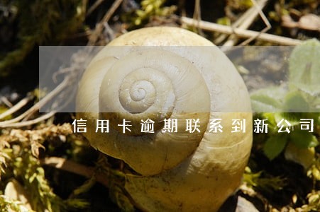 信用卡逾期联系到新公司 信用卡逾期联系到新公司
