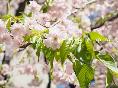 信用卡逾期联系单位怎么联系 信用卡逾期联系单位怎么联系