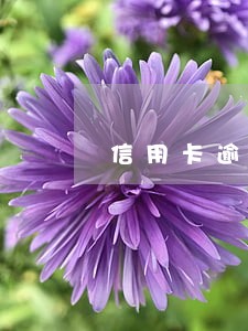 信用卡逾期联系家人可以投诉